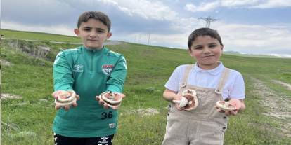 Kars’ta mantar bereketi: Çocuklar doğada hem eğlendi hem topladı