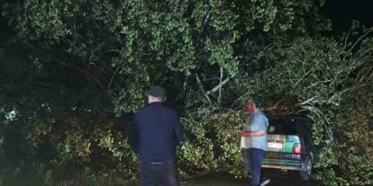 Bartın’da şiddetli fırtına: ağaçlar Otomobillerin üzerine devrildi