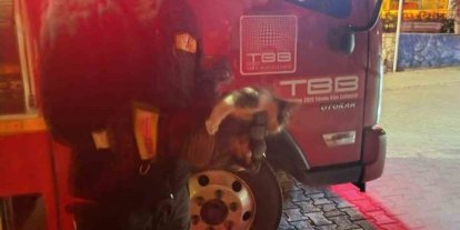 Motor kısmına sıkışan kedi için seferber oldular