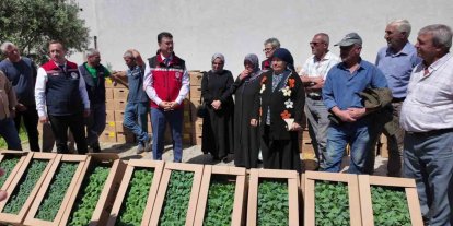 Tekirdağ’da 407 üreticiye 256 bin yazlık sebze fidesi dağıtıldı