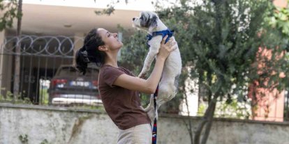 Mersin’de sahiplendirme kampanyasıyla bin 927 köpek yeni yuvasına kavuştu