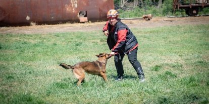 Muğla NAK Arama Kurtarma Köpekleri Macaristan’da sahaya indi