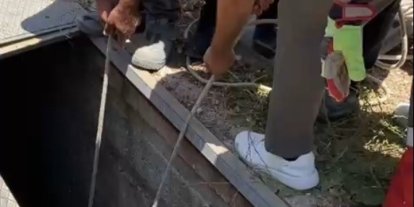 Havalandırma boşluğuna düşen eşek kurtarıldı