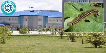 Kafkas Üniversitesi’nden Kampüste Görülen Tırtıllara Karşı Alerji Uyarısı