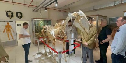 34 bin hayvanın sergilendiği Zooloji Müzesi açıldı