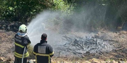 Antakya’da zeytinlik alan yangını