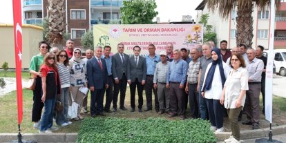 Buharkent’te 38 bin domates fidesi dağıtıldı