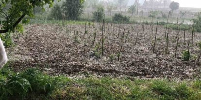 Bursa’da dolu… Keles’te tarım arazilerini dolu vurdu