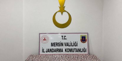 Mersin’de 7 bin 256 sentetik hap ele geçirildi, 1 tutuklama