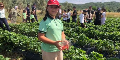 Yatağan’da ’Gençlik Yılı’ kapsamında çilek hasadı yapıldı