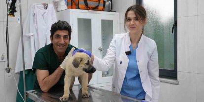 Ödüllü Hayvan Bakım Merkezi can dostlara umut oluyor