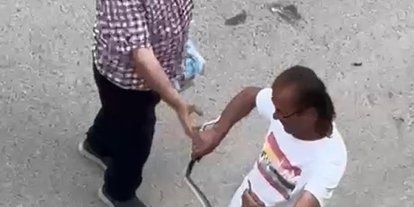 Paniğe sebep olan yılanı eliyle yakaladı