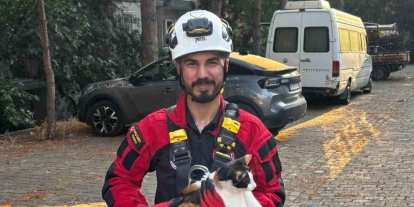 Üç gündür ağaçta mahsur kalan kedi kurtarıldı