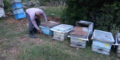 Keven ve kekik balı için yayla yolculuğu başladı