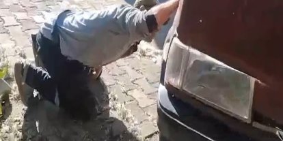 Tokat’ta aracın motor kısmına giren yılanı itfaiye ekipleri kürekle yakaladı