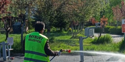 Bayburt’ta kene riskine karşı yeşil alanlar ilaçlandı