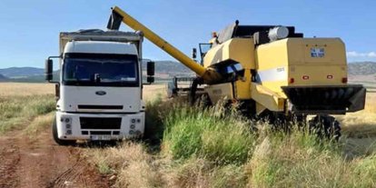 Araban Ovası’nda arpa hasadı yapılmaya başlandı