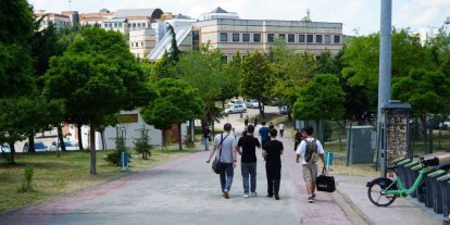 Kocaeli Üniversitesi’nde sahipsiz köpekler azaldı, öğrencilerin endişesi bitmedi