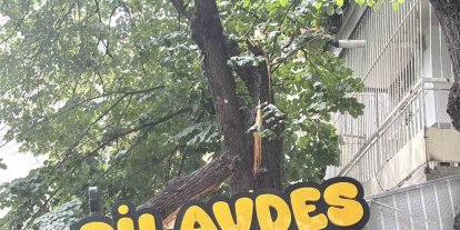 İzmit’te lokantanın üzerine devrilen ağaç dalları çatıda hasara yol açtı