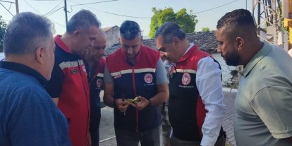Aydın’da ilekleme sezonu yakından takip ediliyor