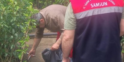 Samsun’da fidancılık işletmeleri mercek altında