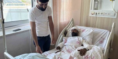 Mantar toplarken ayı saldırısına uğradı, kollarıyla başını siper ederek hayatta kaldı