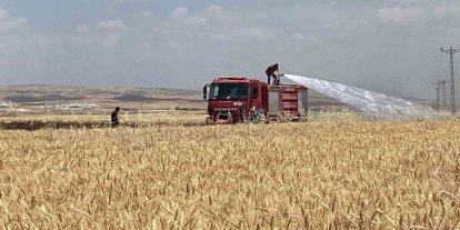 Mardin’de yaklaşık 300 dönüm ekili alan alevlere teslim oldu