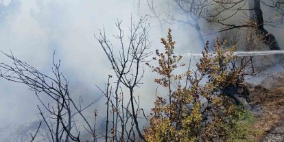 Bursa’da piknik alanı yakınındaki yangın korkuttu