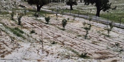 Mersin Erdemli’de dolu tarım alanlarına zarar verdi