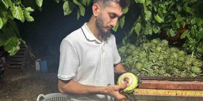 Ailecek enginar soyucular: Soyması 10 saniye sürüyor