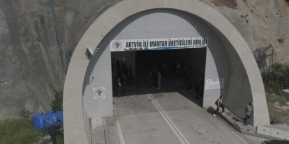 Tünelde üretilen istiridye mantarının ilk hasadı gerçekleştirildi