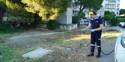 Balıkesir’de vektörle mücadelede tam zamanlı mesai