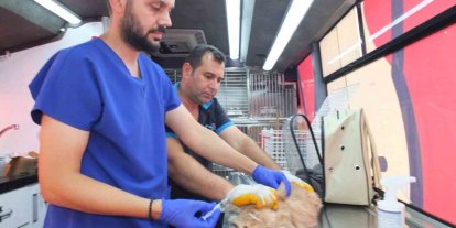 Balıkesir’de Can Dost 18 bin sokak hayvanına sağlık hizmeti verdi