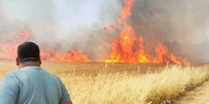 Şanlıurfa’da buğday tarlasında korkutan yangın