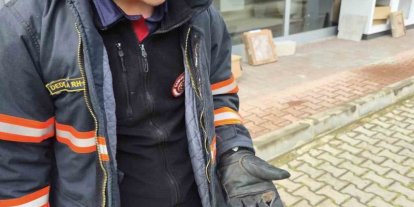 Yaralı yarasa koruma altına alındı
