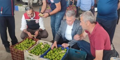 Buharkent’te ilekler, tezgahta incelendi
