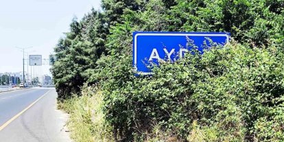 Karayolu üzerindeki Aydın tabelası çalılar arasında kaldı