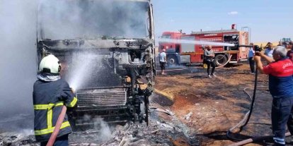 Mardin’de buğday yüklü tır alevlere teslim oldu