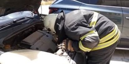 Arsuz’da aracın motor kısmına giren yavru kedi kurtarıldı
