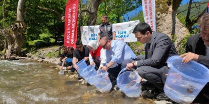 Düzce’de 7 bin 500 kırmızı benekli alabalık yavrusu sularla buluştu