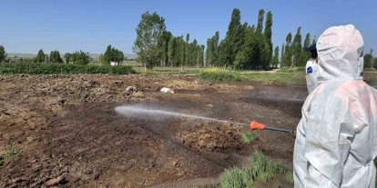 Çorum Belediyesi vektörel mücadeleyi aralıksız sürdürüyor