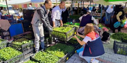 Pazarlarda satılan tohum ve fideler kontrol edildi
