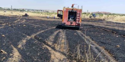 Mardin’de 40 dönüm buğday ekili alan yangında zarar gördü