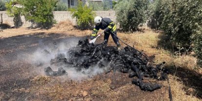 Hassa’da bahçe yangını