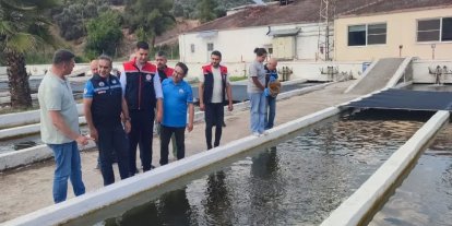 Bozdoğan’da su ürünleri üretimi 3 bin 696 tona ulaştı