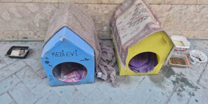 Kediler için yaptığı evler için vicdanlara seslendi, "Lütfen dokunmayalım"