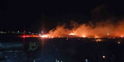 Burhaniye’de korkutan örtü yangını