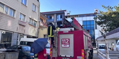 Erzincan’da karga ailesi yavrusu için kedilere ve insanlara meydan okudu