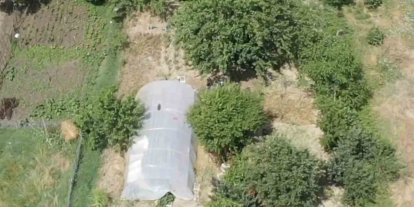 Dron destekli operasyonda seraya gizlenen hint kenevirleri ele geçirildi