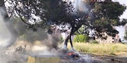 Hurda atık yangını yarım asırlık ağacı küle çevirdi